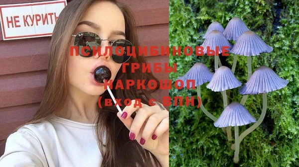 спайс Липки